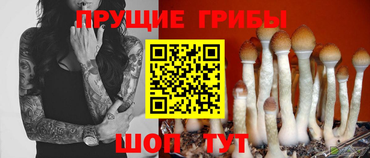 Луховицы  Галлюциногенные грибы MAGIC MUSHROOMS  Вход с VPN 